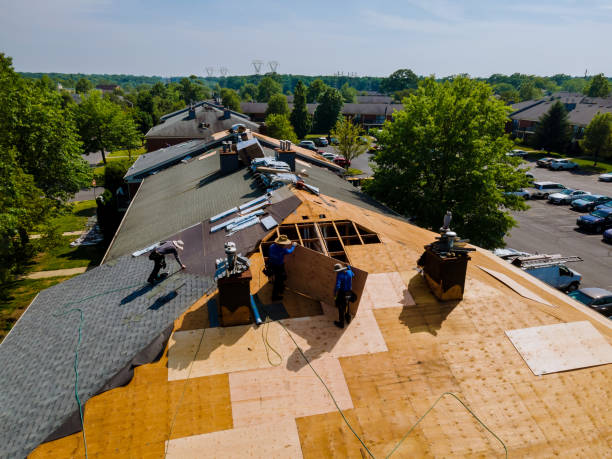 Trusted Storm Damage Roof Repair service in Weslaco, TX - Brentwood Metal Roofing